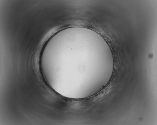 X0000102470341200808221648