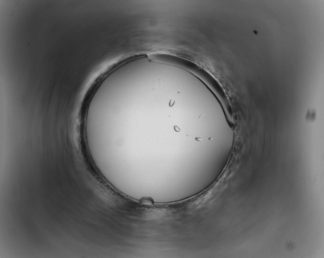 X0000102470342200808221648