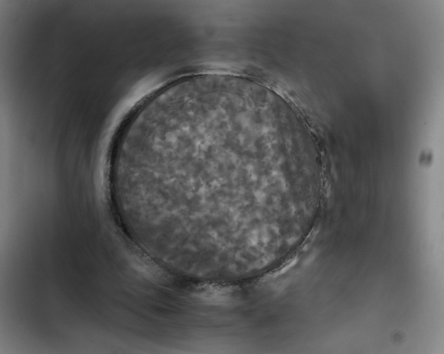 X0000102470343200808221648