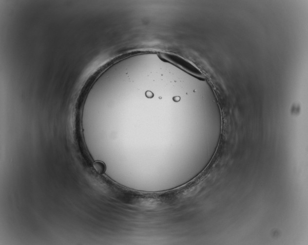X0000102470344200808221648
