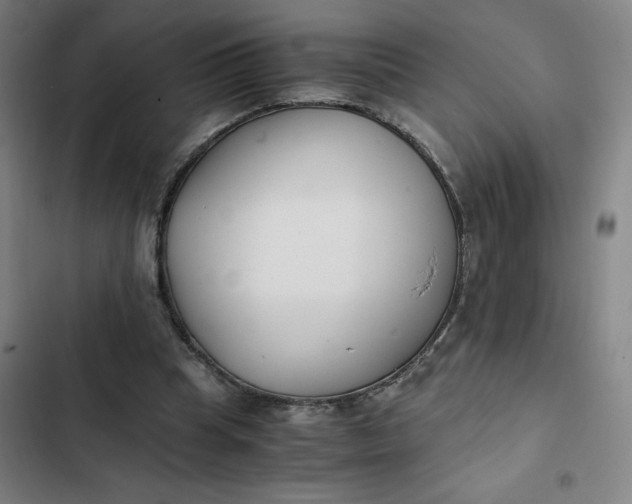 X0000102470345200808221648
