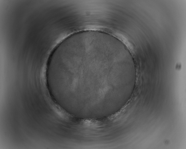 X0000102470346200808221648