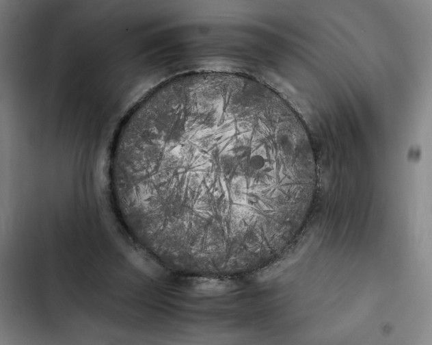 X0000102470347200808221648