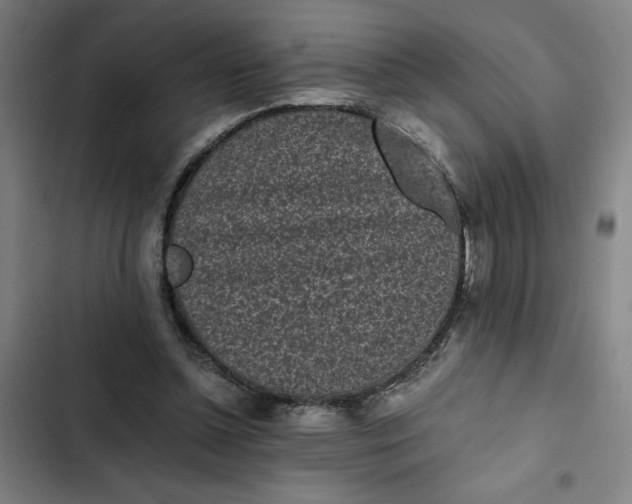X0000102470348200808221648