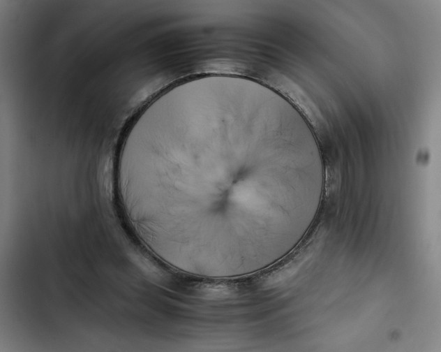 X0000102470349200808221648