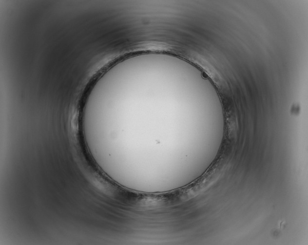 X0000102470350200808221648