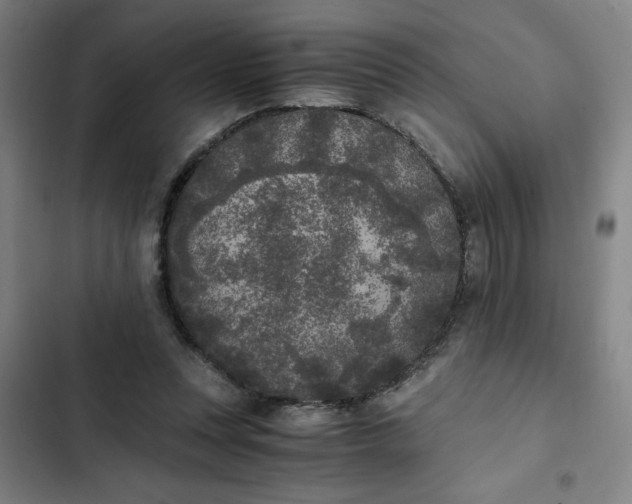 X0000102470351200808221648