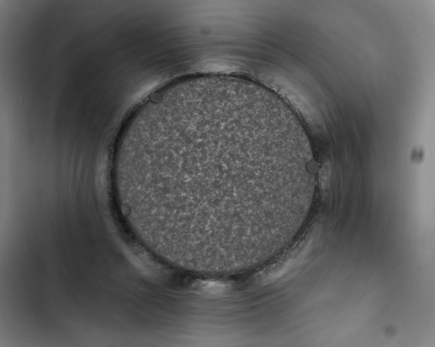 X0000102470352200808221648