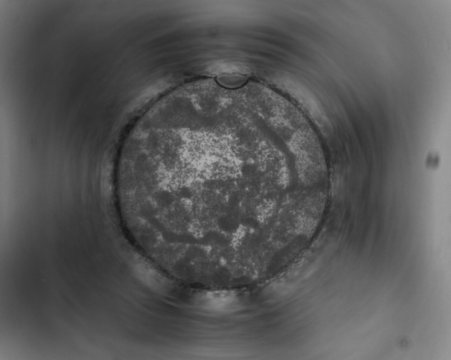 X0000102470353200808221648