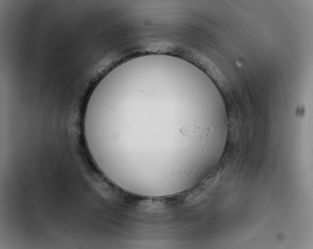 X0000102470354200808221648