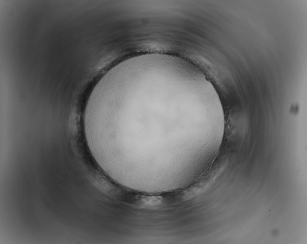 X0000102470355200808221648