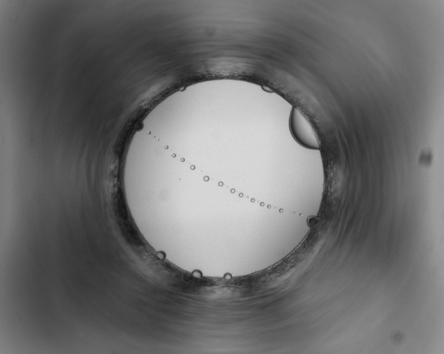 X0000102470356200808221648