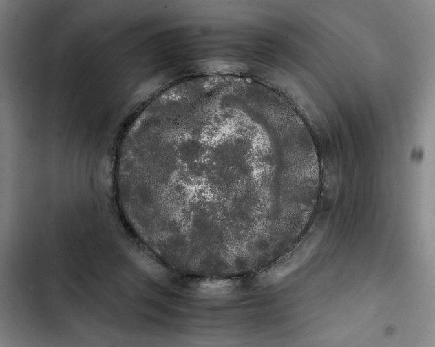 X0000102470357200808221648