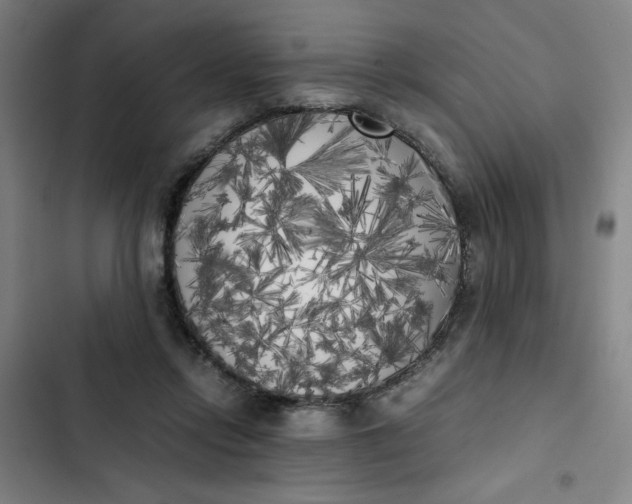X0000102470358200808221648