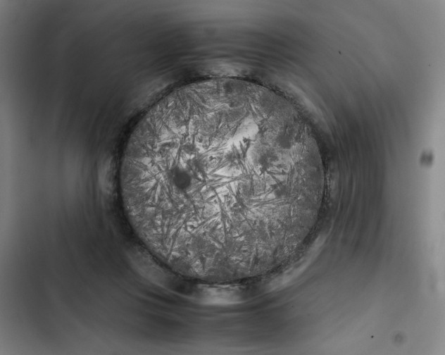 X0000102470359200808221648