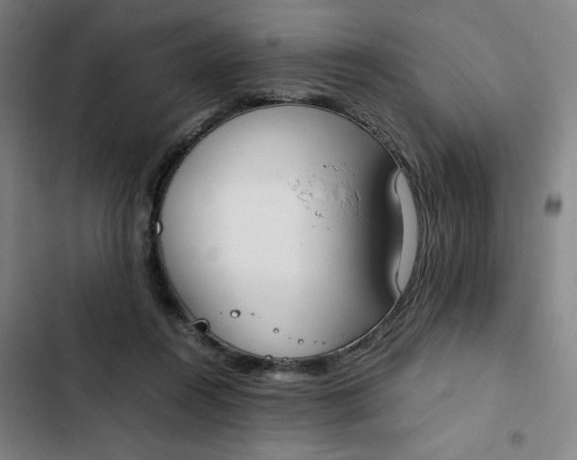 X0000102470360200808221648