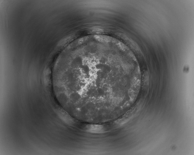 X0000102470361200808221648