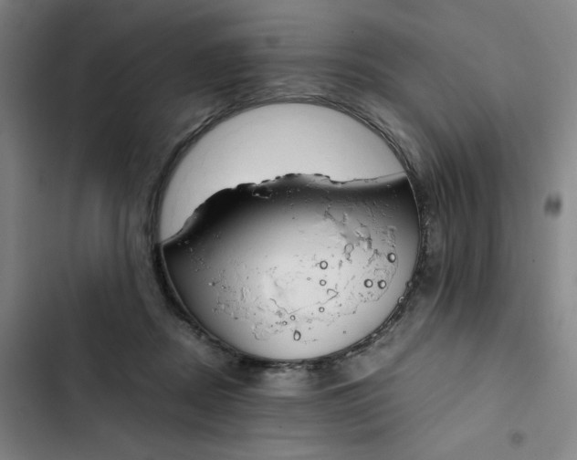 X0000102470362200808221648