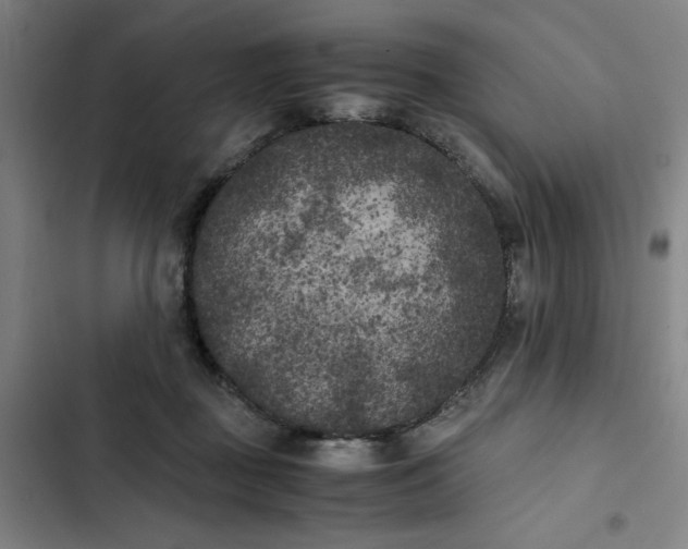 X0000102470363200808221648