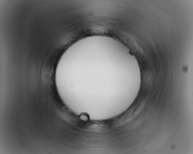 X0000102470364200808221648