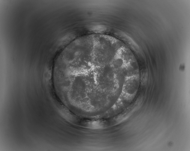 X0000102470365200808221648