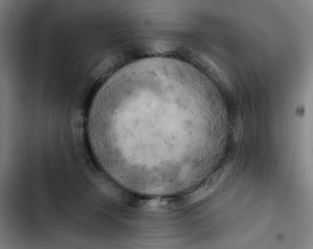 X0000102470366200808221648
