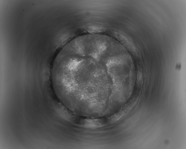 X0000102470367200808221648