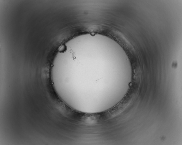 X0000102470368200808221648