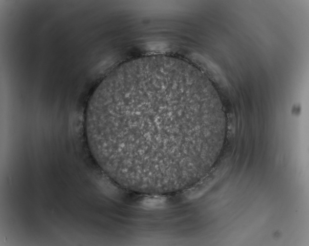 X0000102470369200808221648