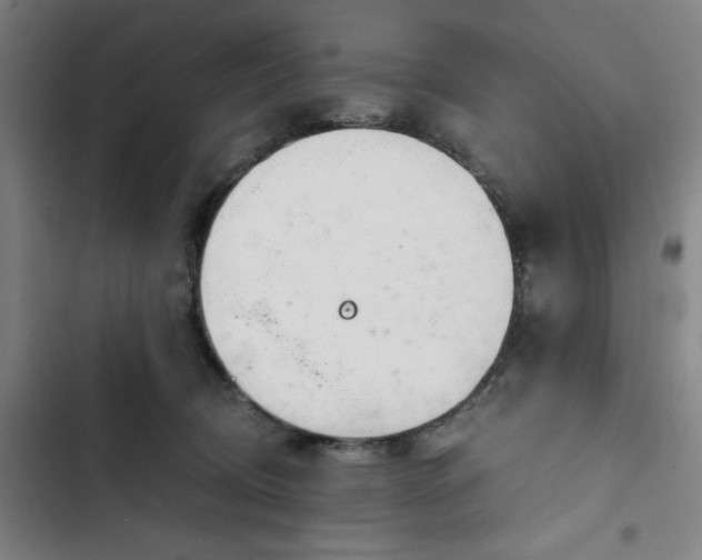 X0000102470370200808221648