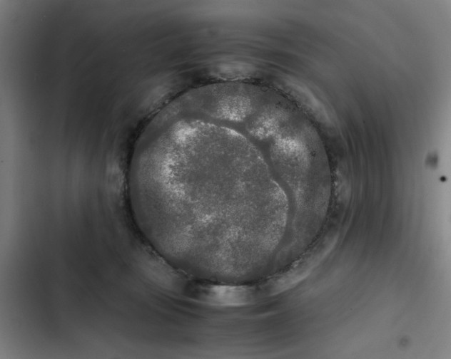 X0000102470371200808221648
