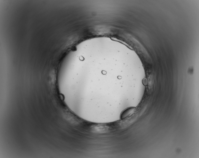 X0000102470372200808221648