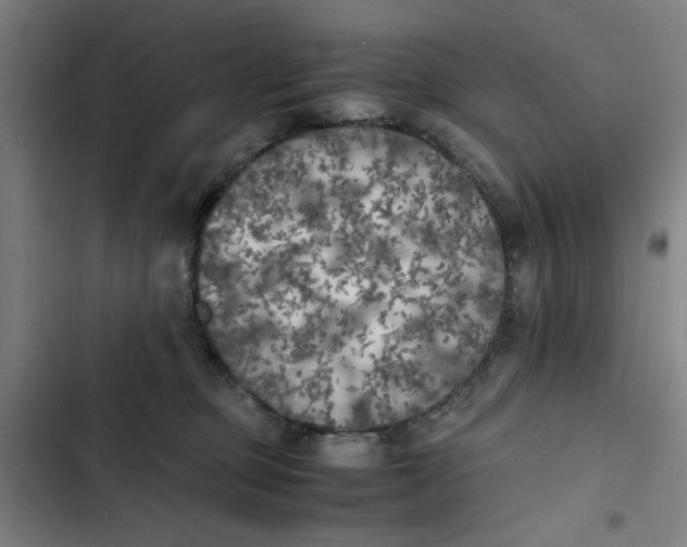 X0000102470373200808221649