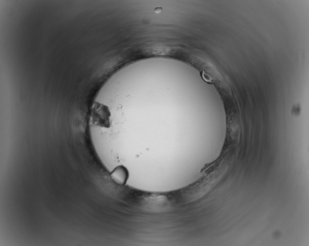 X0000102470374200808221649