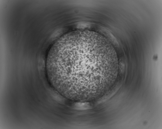 X0000102470375200808221649