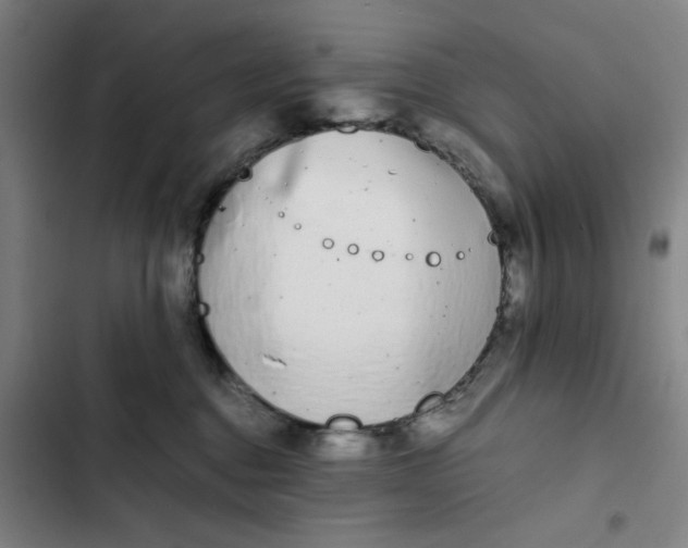 X0000102470376200808221649