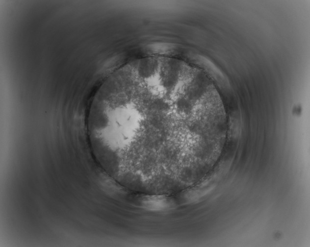 X0000102470377200808221649