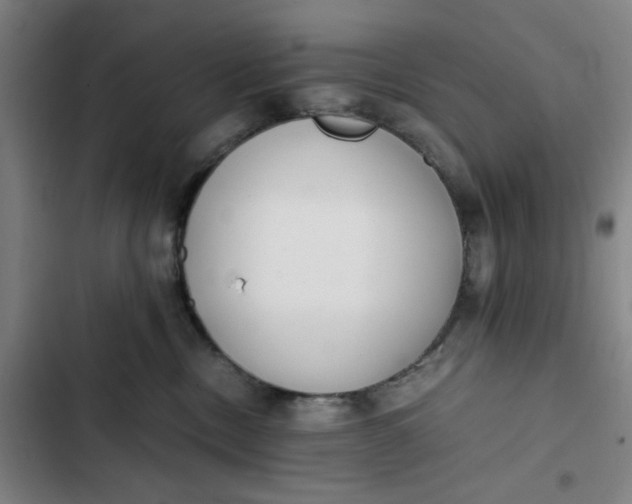 X0000102470378200808221649