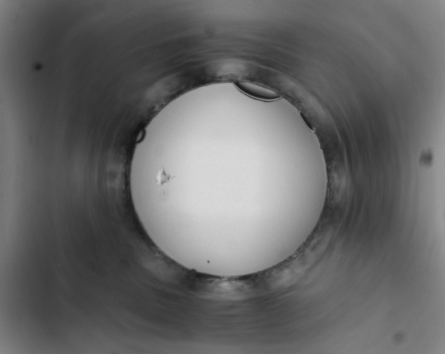 X0000102470379200808221649