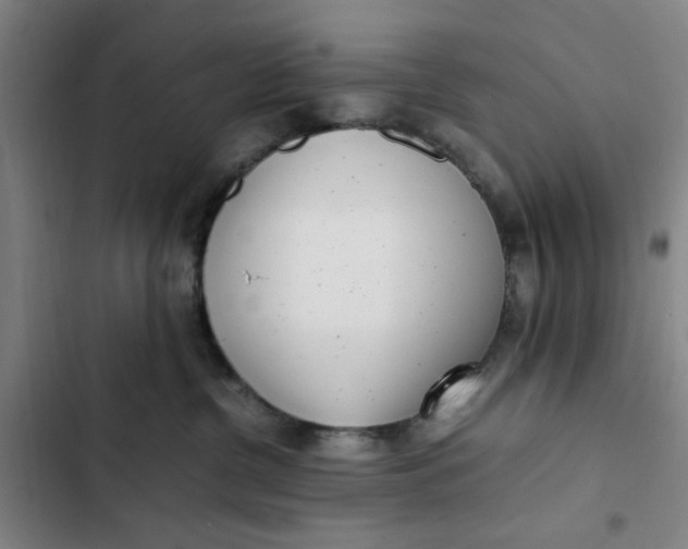 X0000102470380200808221649