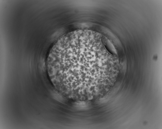 X0000102470381200808221649