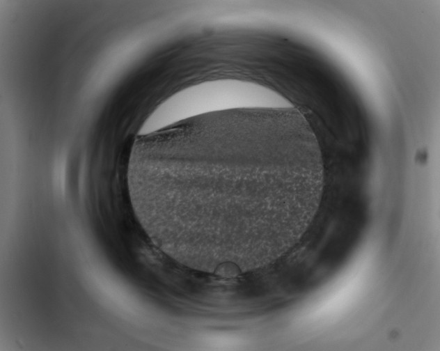 X0000102470382200808221649