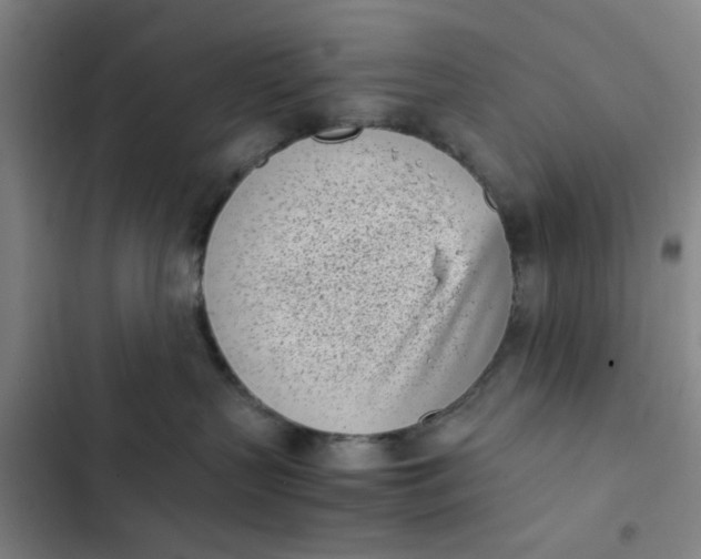 X0000102470383200808221649