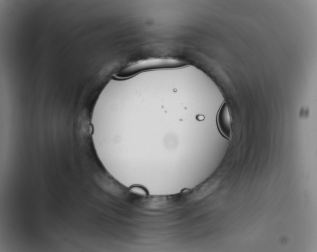 X0000102470384200808221649
