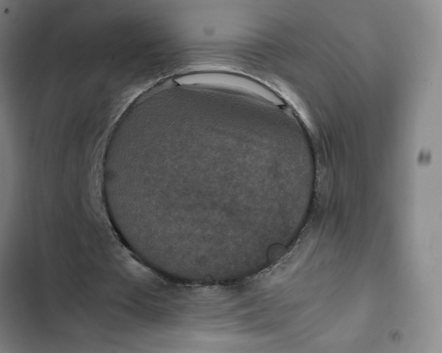 X0000102470385200808221648