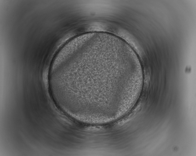 X0000102470386200808221648