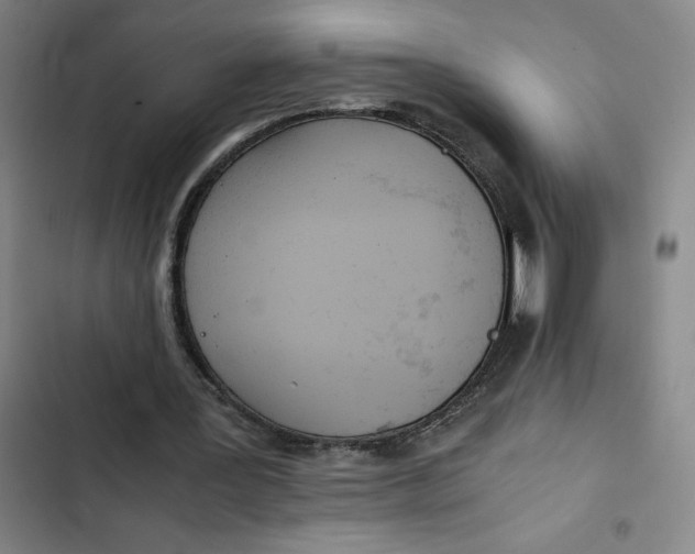 X0000102470387200808221648