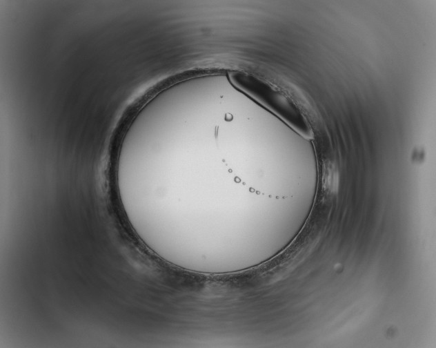 X0000102470388200808221648