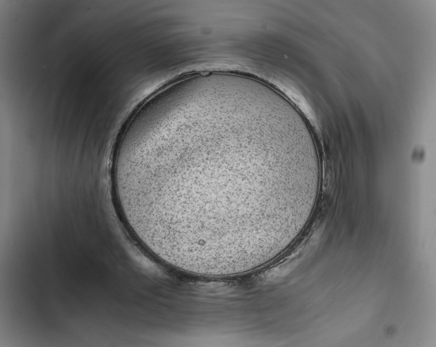 X0000102470389200808221648