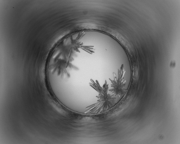 X0000102470390200808221648